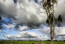 OpenAI收购个人理财公司Roi，凯文杜兰特投資(zī)