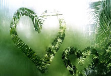 球衣日2025：NBA球衣文(wén)化的演变与经典(diǎn)传承