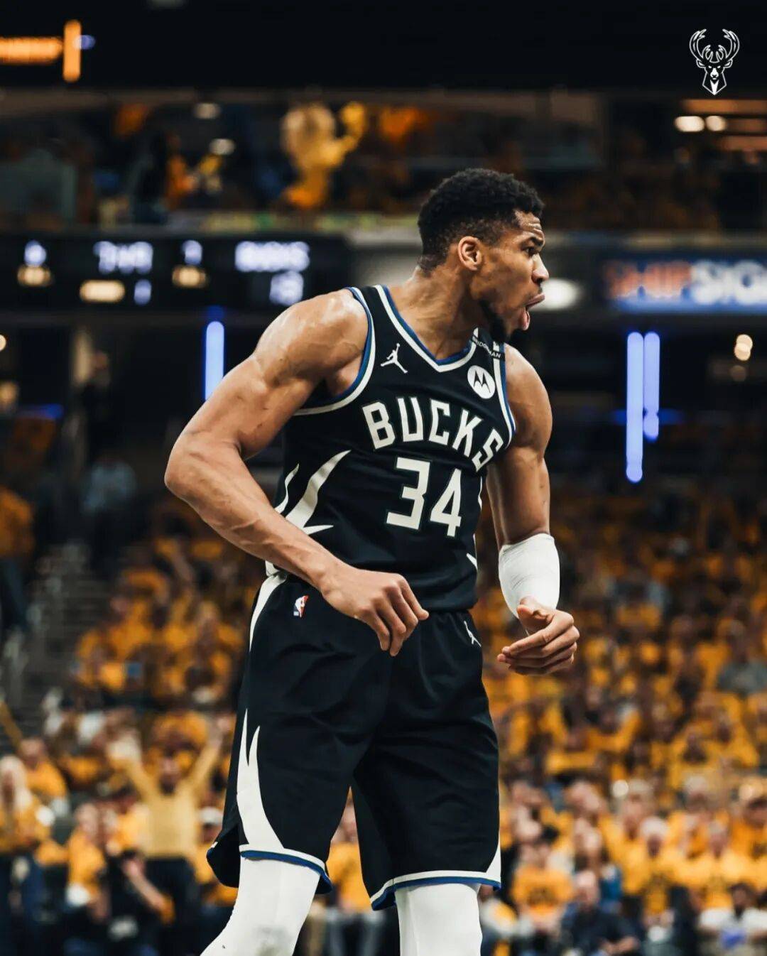 雄鹿尼克斯曾讨论字母哥交易!雄鹿对字母哥也是够可以了!