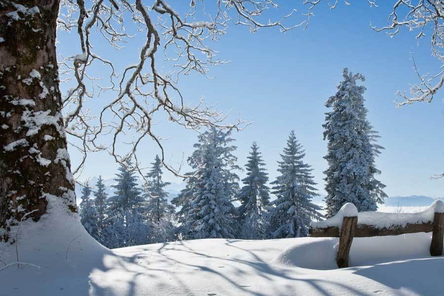 NBA全明星赛上演扣篮盛宴